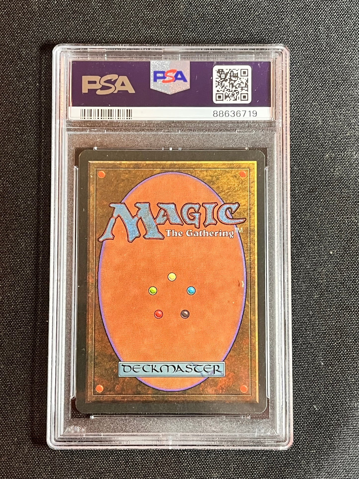 Tangle Kelp MTG Magic the Gathering The Dark PSA 9 MINT!