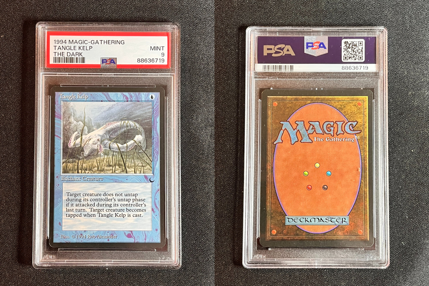 Tangle Kelp MTG Magic the Gathering The Dark PSA 9 MINT!