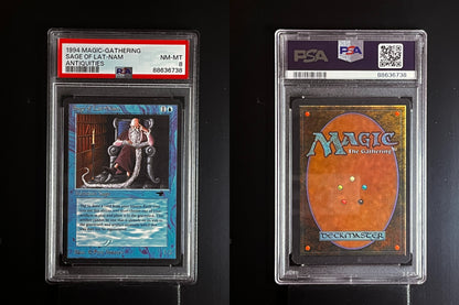 SAGE OF LAT-NAM MTG Magic The Gathering Antiquities PSA 8